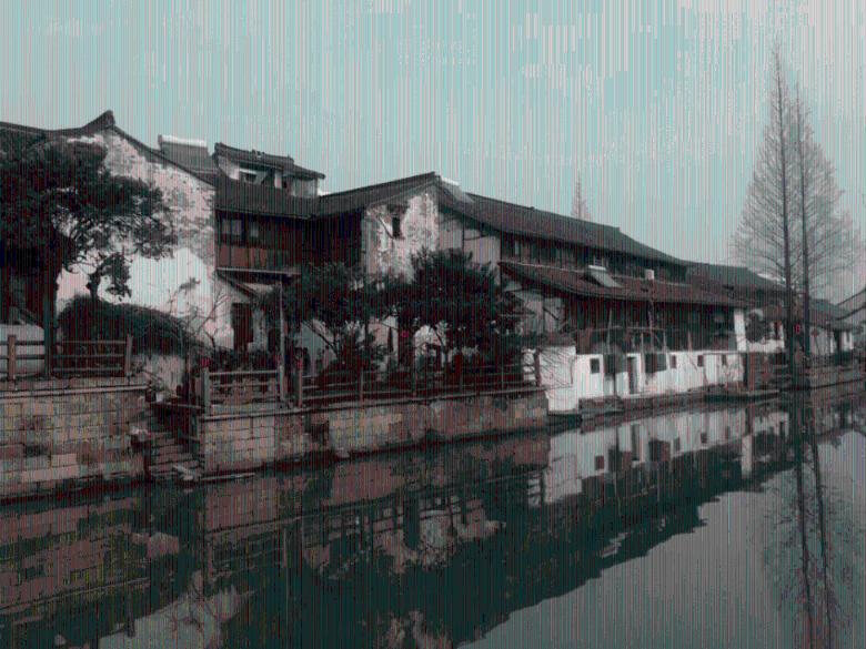 丛林森林逃生
